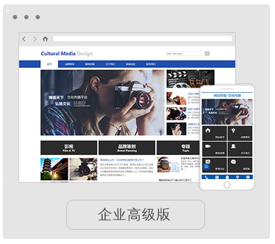 企业高级版（高级）