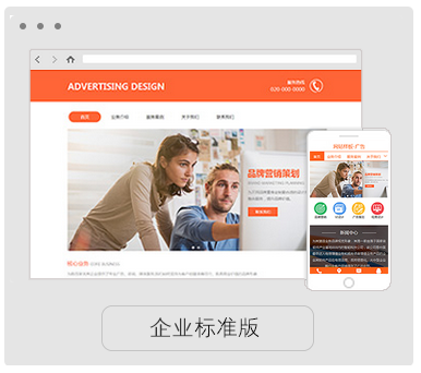 企业标准版（中级）